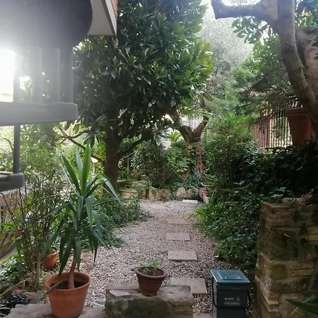 Shanti * Grottaferrata